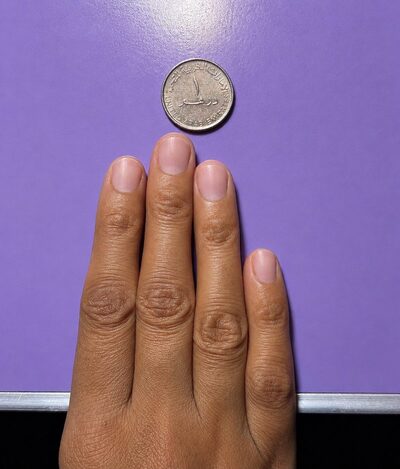 Sizing reference full hand with coin