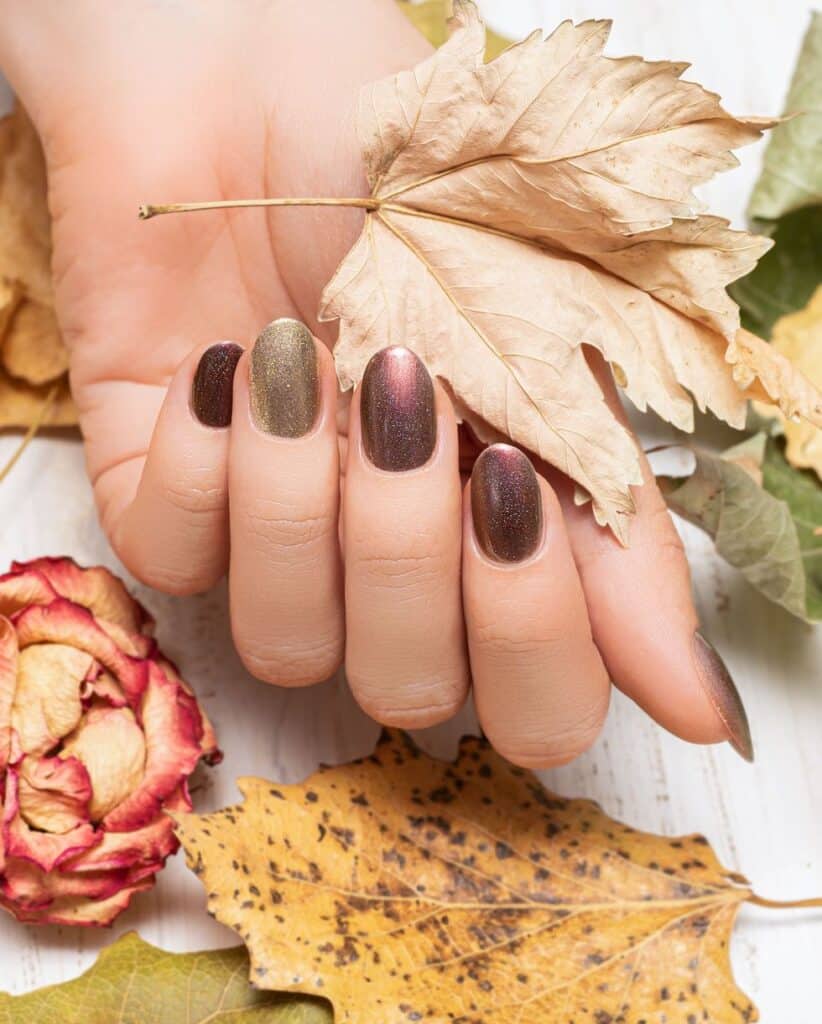 A view of metallic brown nails holding a maple tree x