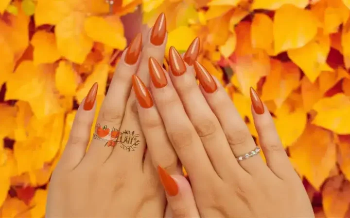 Autumn’s Edge: 10 Burnt Orange Stiletto Nails You’ll Fall For