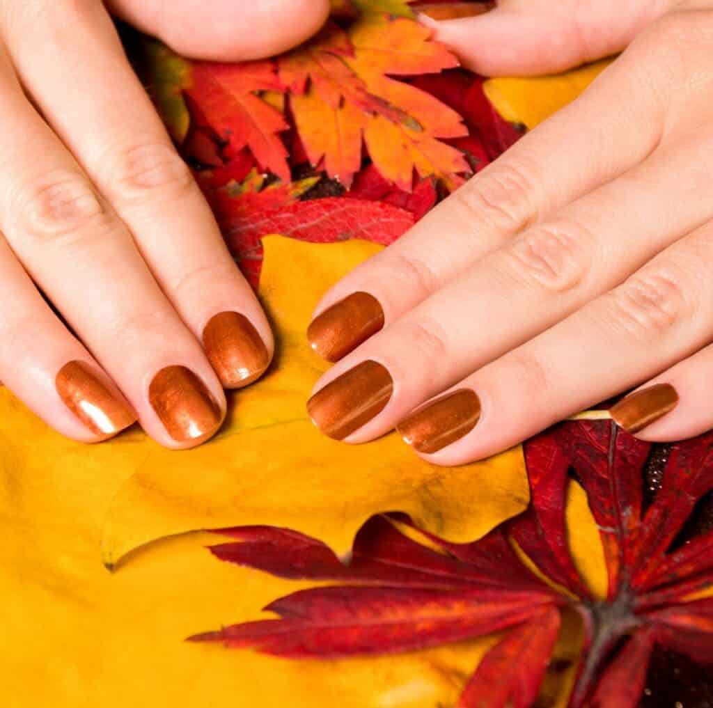 A view of hands with brown shiny nails resting on autumn leaves x A view of hands with brown shiny nails resting on autumn leaves x